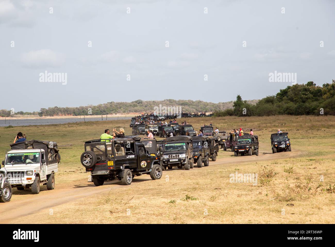 Parc national de Kaudulla, Sri Lanka, 16 août 2018 : Grande rangée de jeeps avec des touristes à l'intérieur du parc national de Kaudulla Banque D'Images