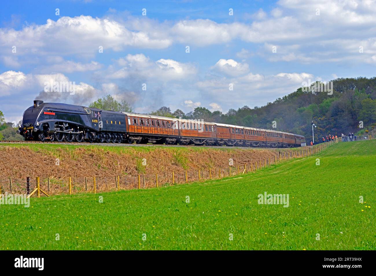 Montrant ses lignes épurées en visitant la classe A4 Pacific 4498 Sir Nigel Gresley transporte un train d'époque de voitures en teck vers Bewdley sur le SVR. Banque D'Images