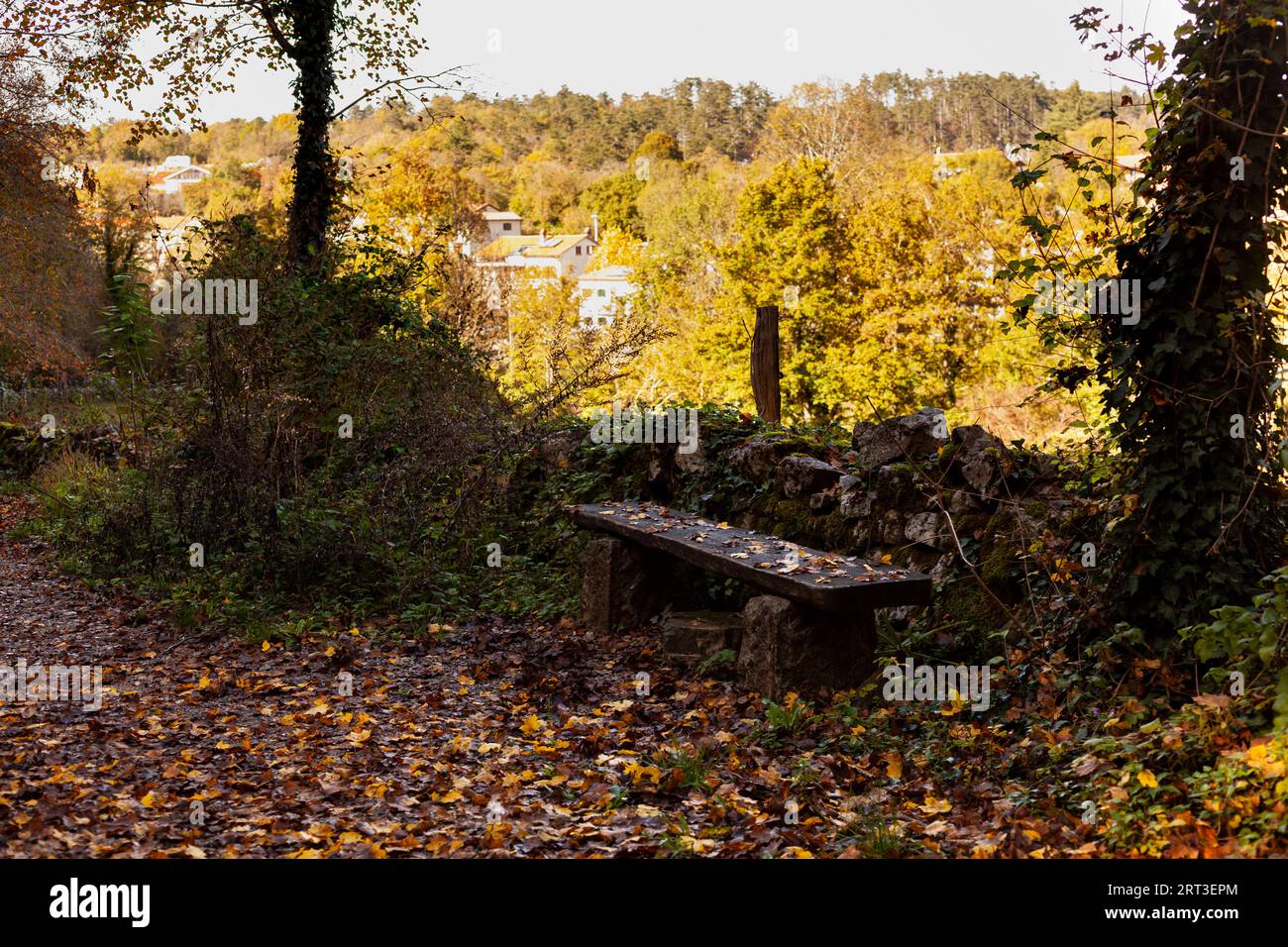 Vieux banc en bois avec des feuilles mortes en saison d'automne, Slovénie Banque D'Images