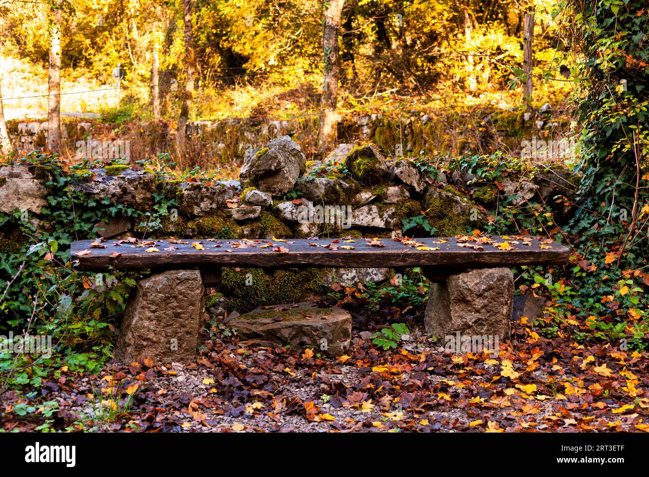 Vieux banc en bois avec des feuilles mortes en saison d'automne, Slovénie Banque D'Images