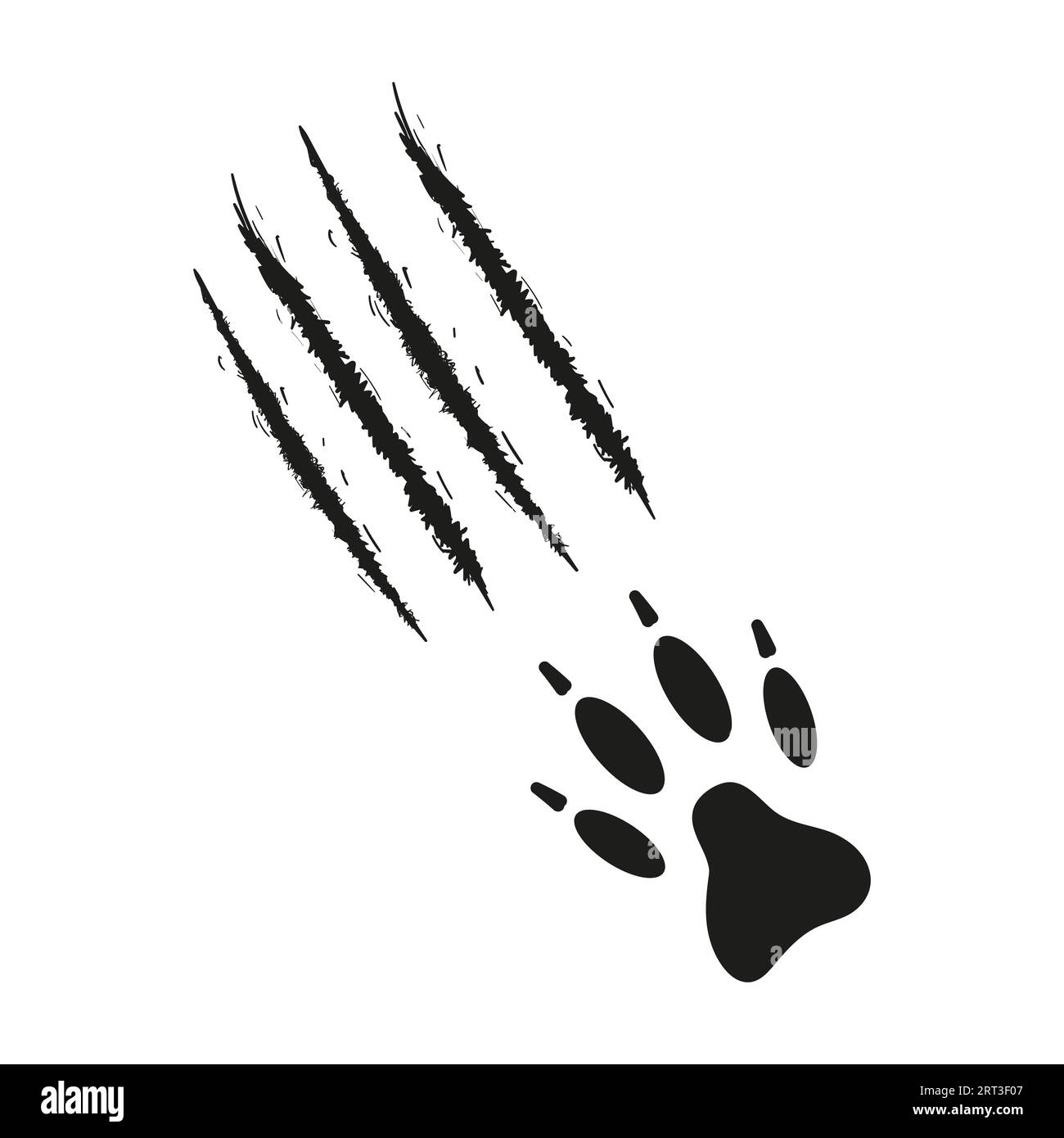Empreinte patte avec griffes de chien ou de loup avec des traces de rayures. Silhouette noire. Des marques de griffe isolées par vecteur, des coupures, des blessures. Patte d'animal sauvage, coyote, renard, tigre, lion, chat, puma léopard guépard jaguar Illustration de Vecteur