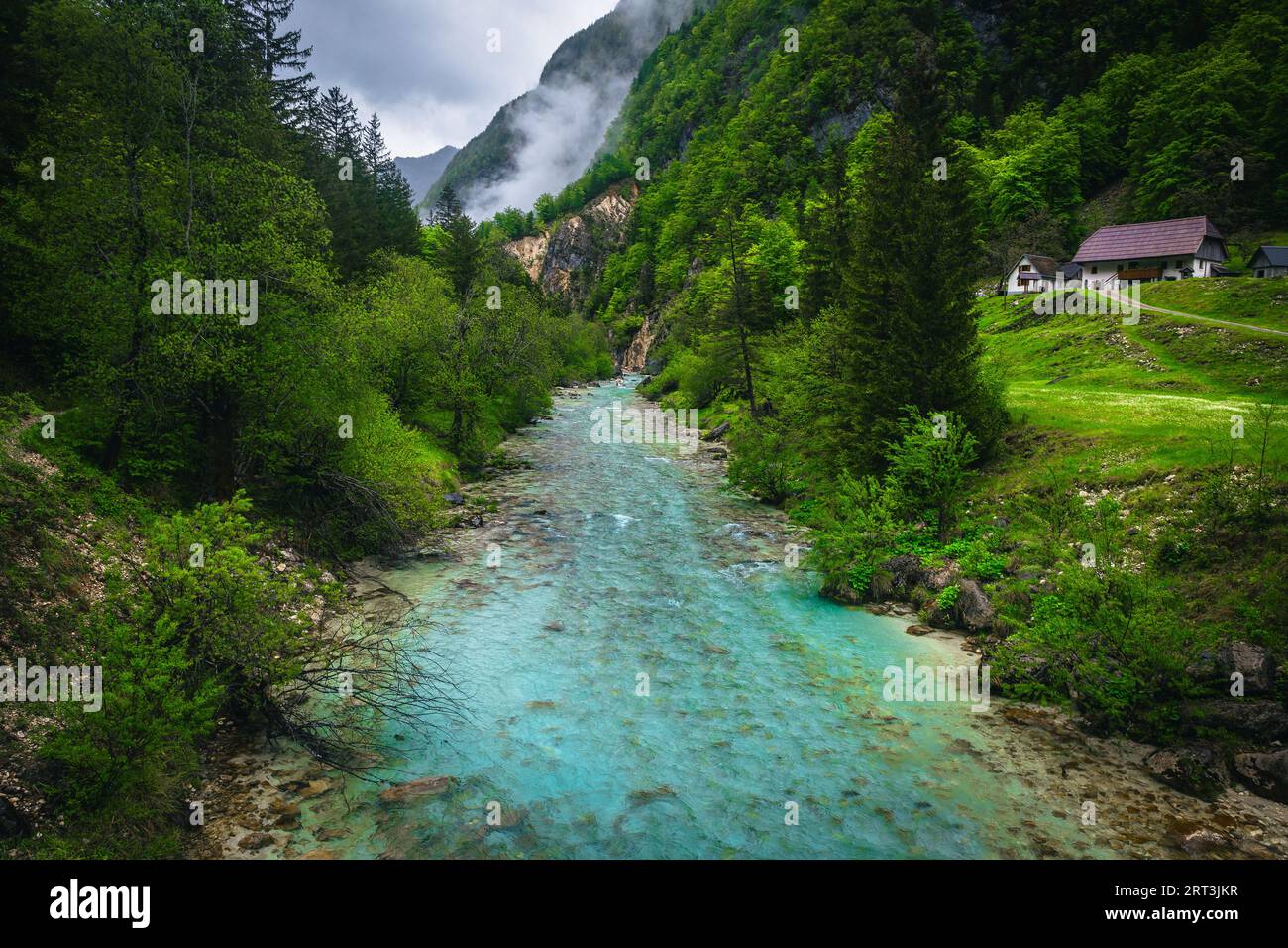 Lieu naturel bien connu et destination de kayak. Turquoise Soca rivière avec rivage rocheux dans la forêt verte, Kobarid, Slovénie, Europe Banque D'Images