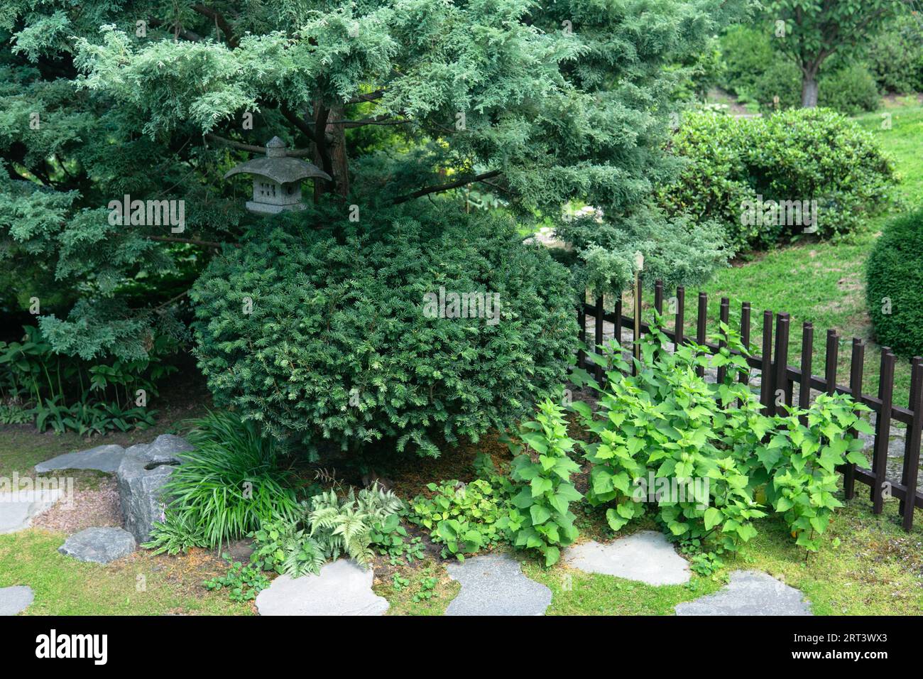 paysage de jardin japonais avec lanterne en pierre sous le pin Banque D'Images