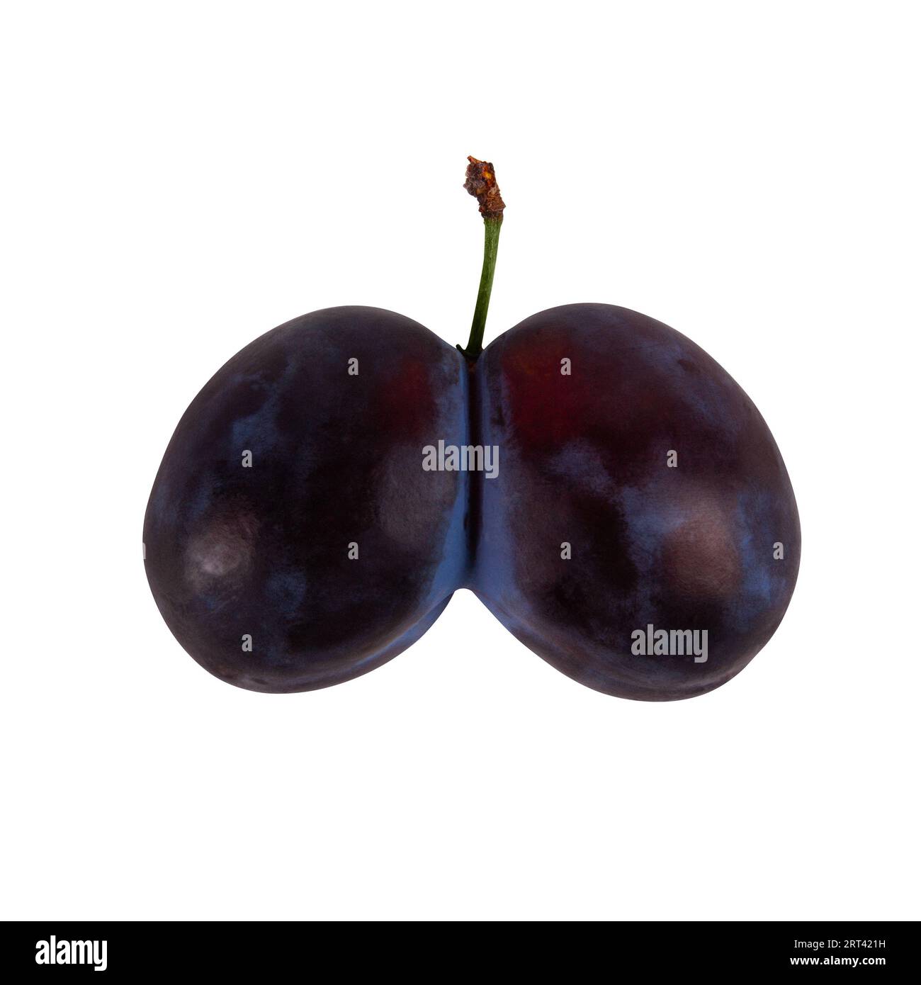 Fruits accolés isolés sur fond blanc. Deux panaches fusionnés en un Banque D'Images