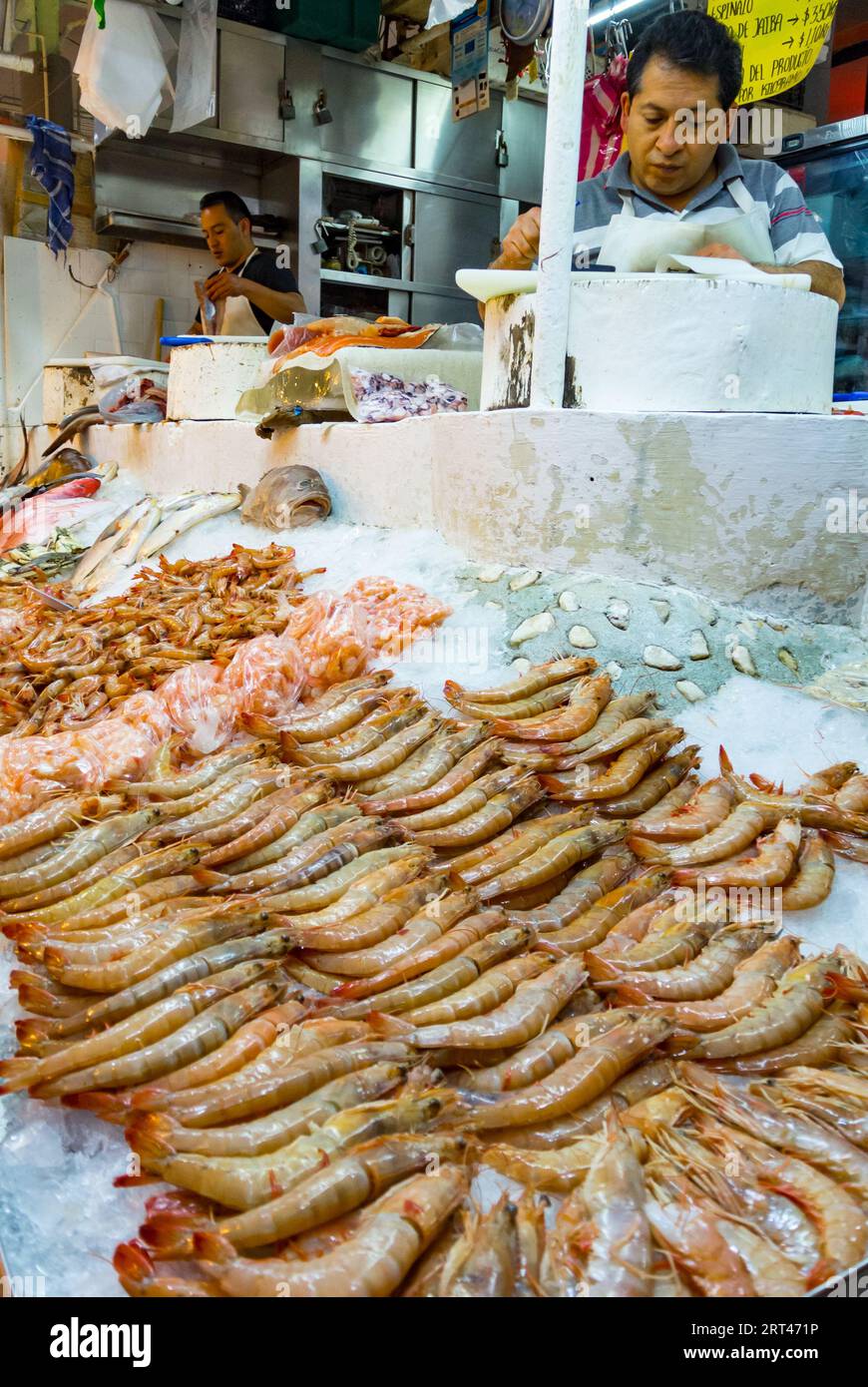 Mexico City, CDMX, Mexique, Un stand avec des fruits de mer dans un mercado, dans un marché d'églish. Banque D'Images