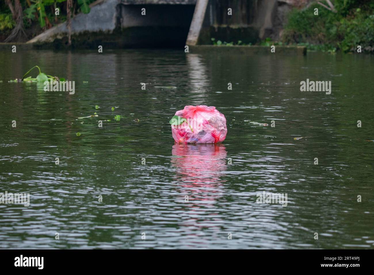 Un sac de déchets plastiques flotte sur la rivière Sondha à Pirojpur, au Bangladesh, reflétant la menace croissante de pollution dans les cours d’eau du pays. Banque D'Images