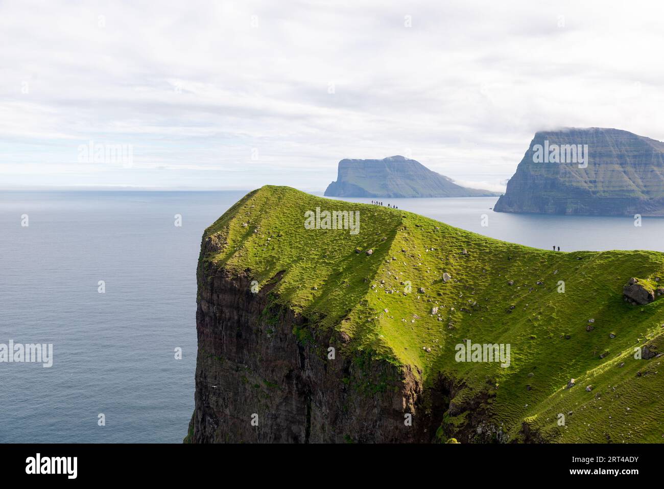 Crête herbeuse près du phare de Kallur, île Kalsoy, îles Féroé Banque D'Images