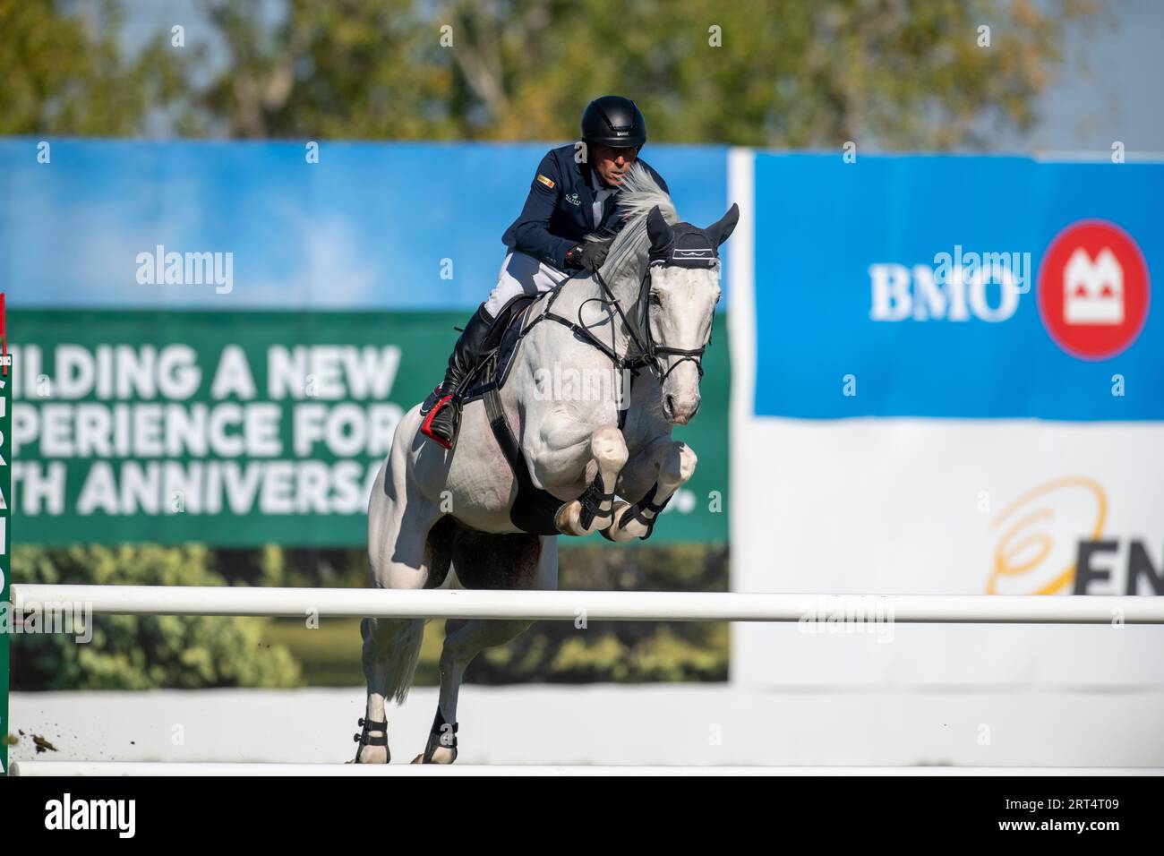Calgary, Alberta, Canada, 10 septembre 2023. Hans-Dieter Dreher (GER) sur Elysium, The Masters, Spruce Meadows - CPKC Grand Prix - crédit : Peter Llewellyn/Alamy Live News Banque D'Images