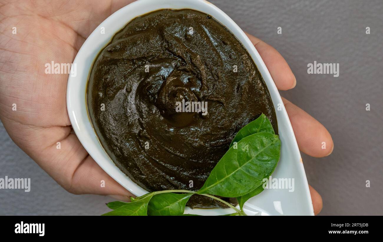 Hand tient Henna Paste avec des feuilles dans un bol en céramique - vue de dessus Banque D'Images