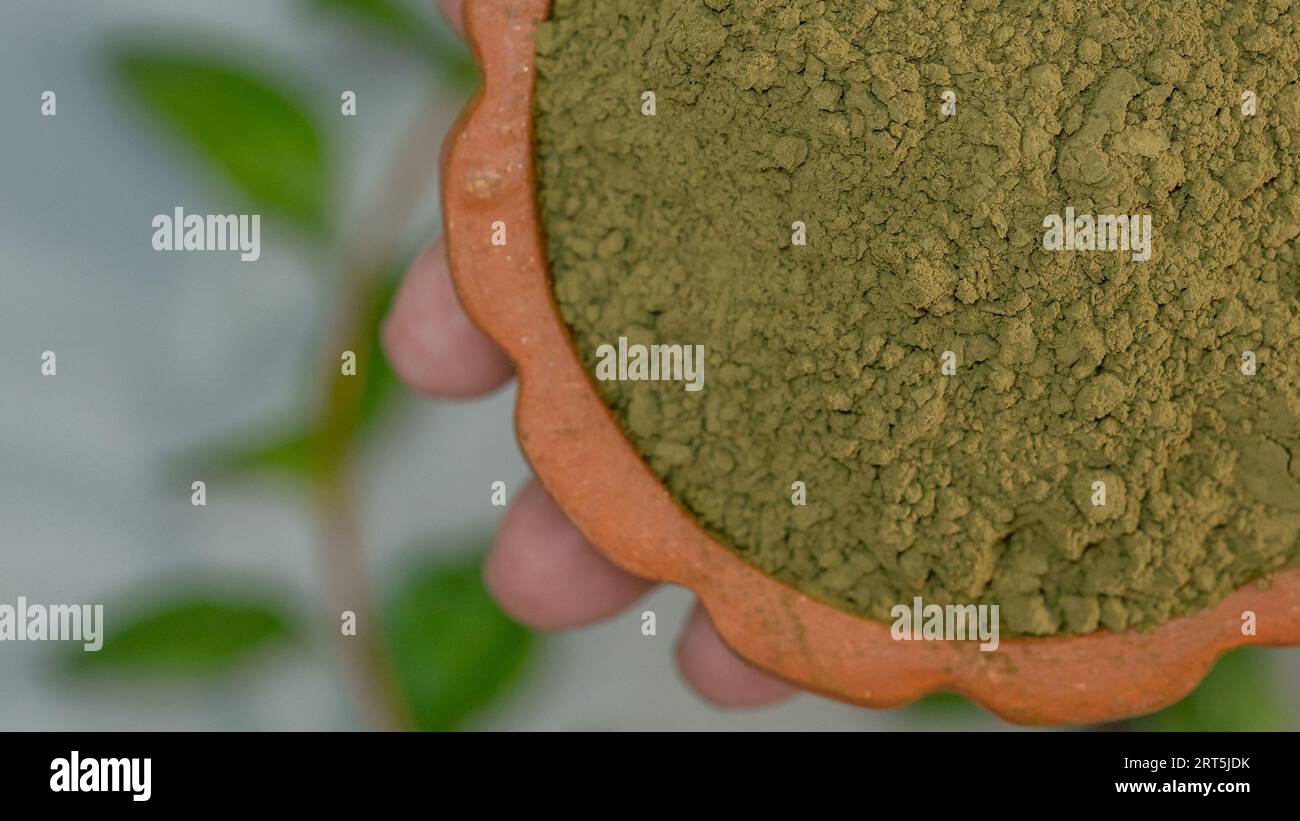 Feuilles de henné et poudre dans le bol en céramique sur fond gris. Banque D'Images