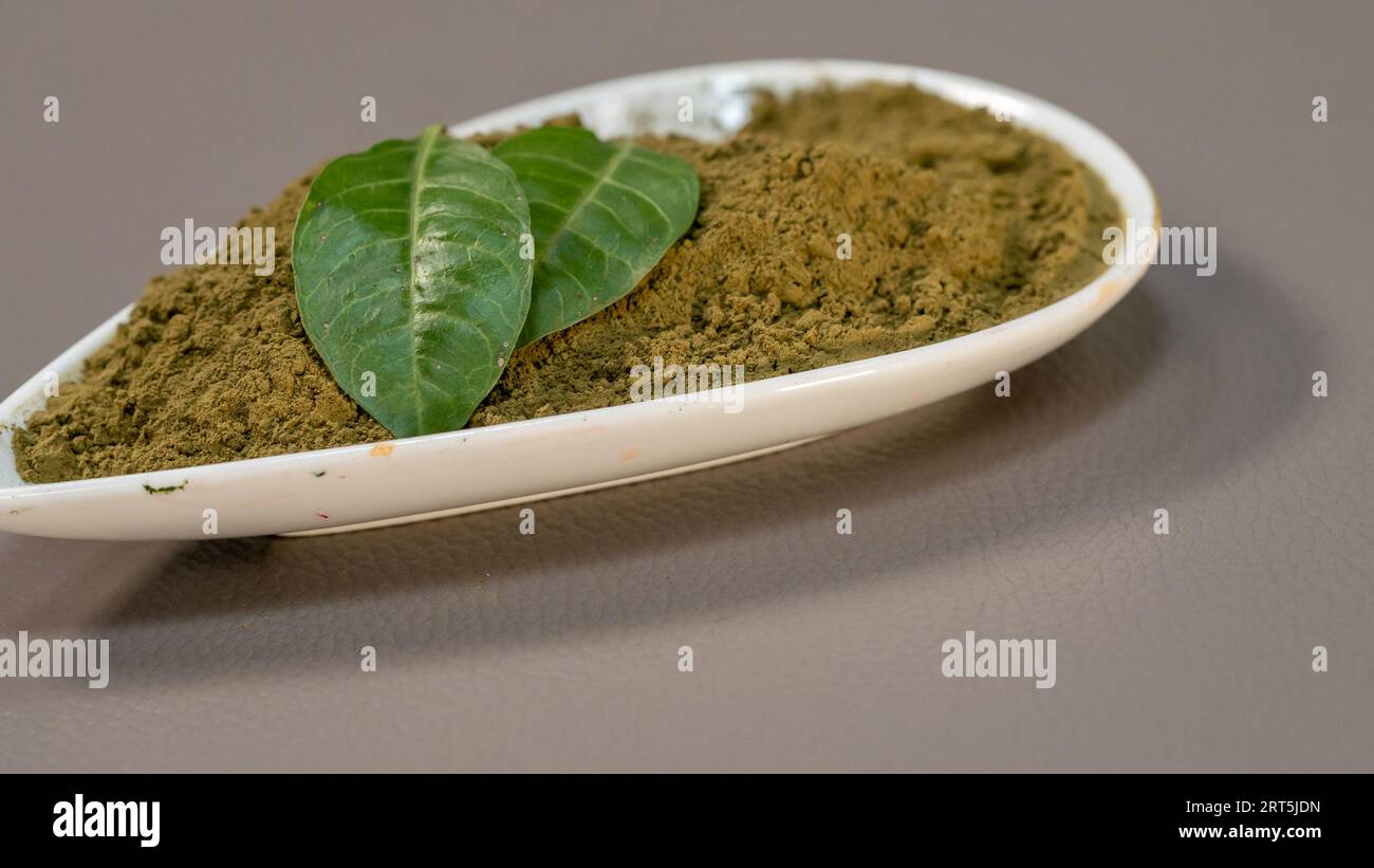 Feuilles de henné et poudre dans le bol en céramique sur fond gris. Banque D'Images