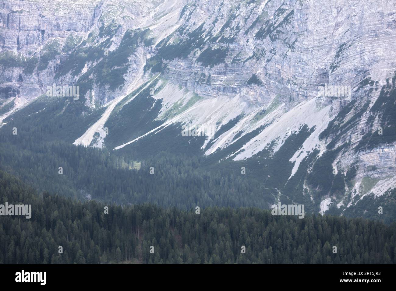 Dolomites Italie, gros plan des montagnes, été Banque D'Images