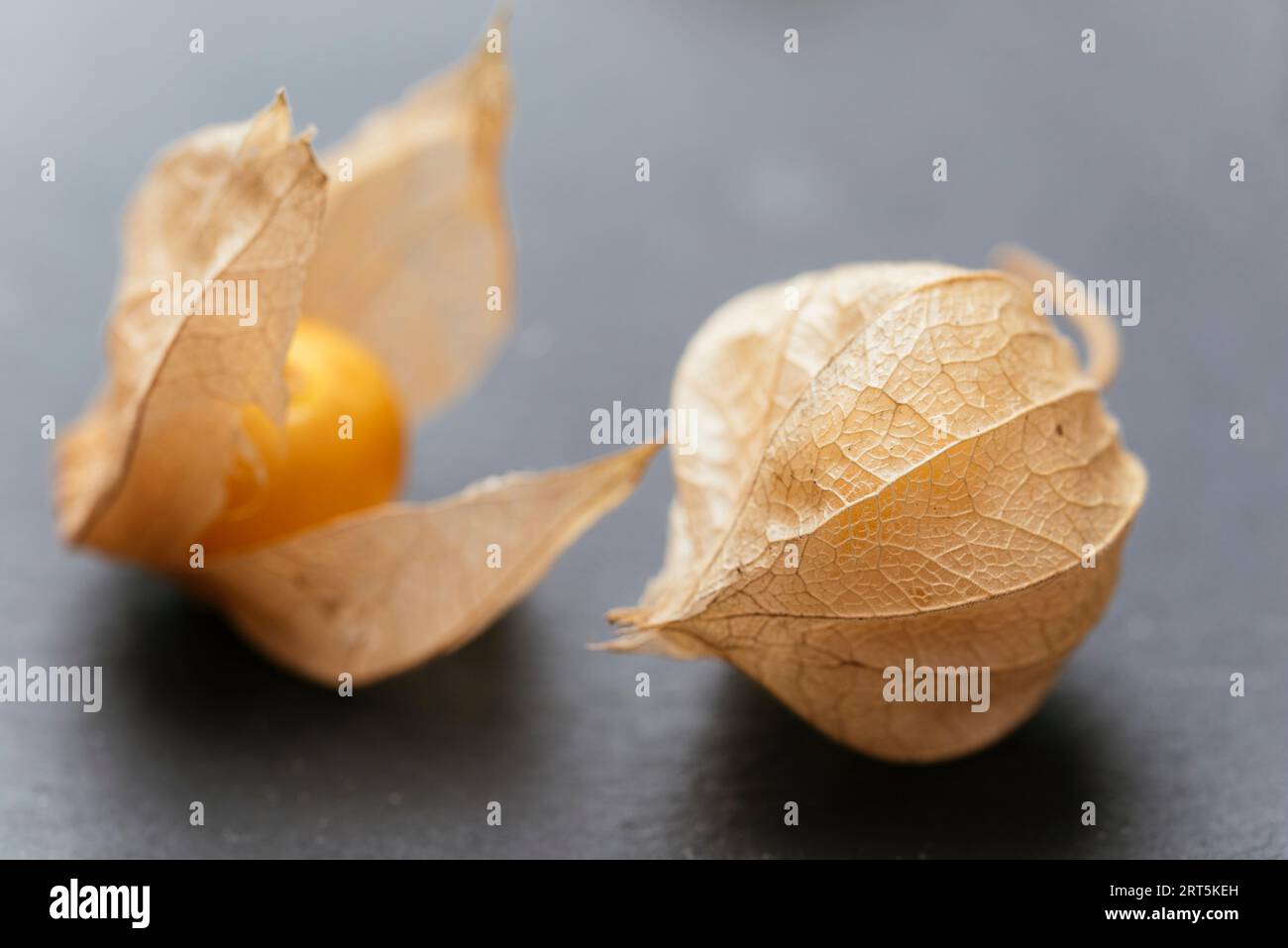 Fruits Physalis avec calice ouvert et fermé. Banque D'Images