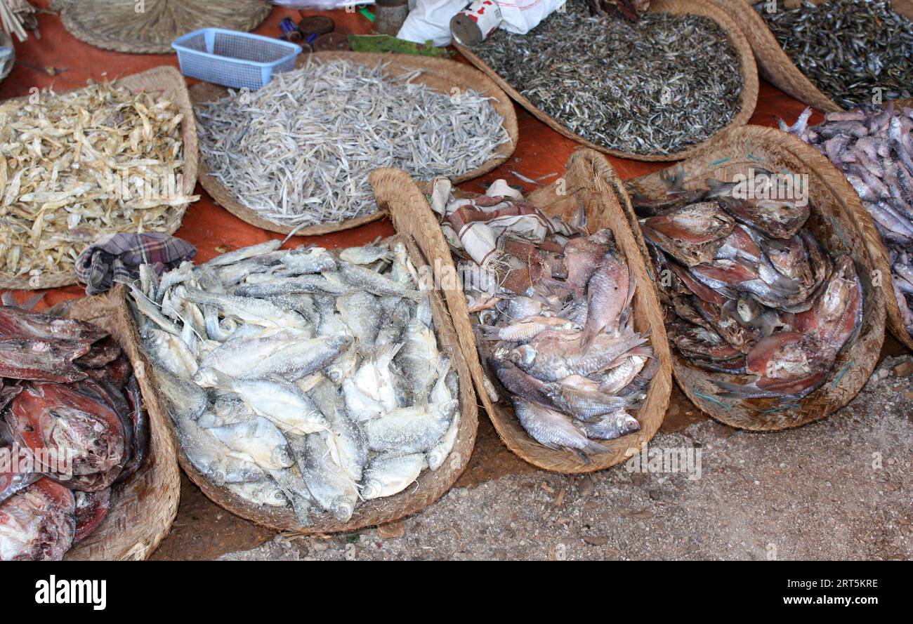 Poisson séché dans un panier en osier à vendre, marché aux poissons du matin, Myanmar (Birmanie). Poisson salé séché vendu au marché traditionnel des poissons de rue, Asie Banque D'Images