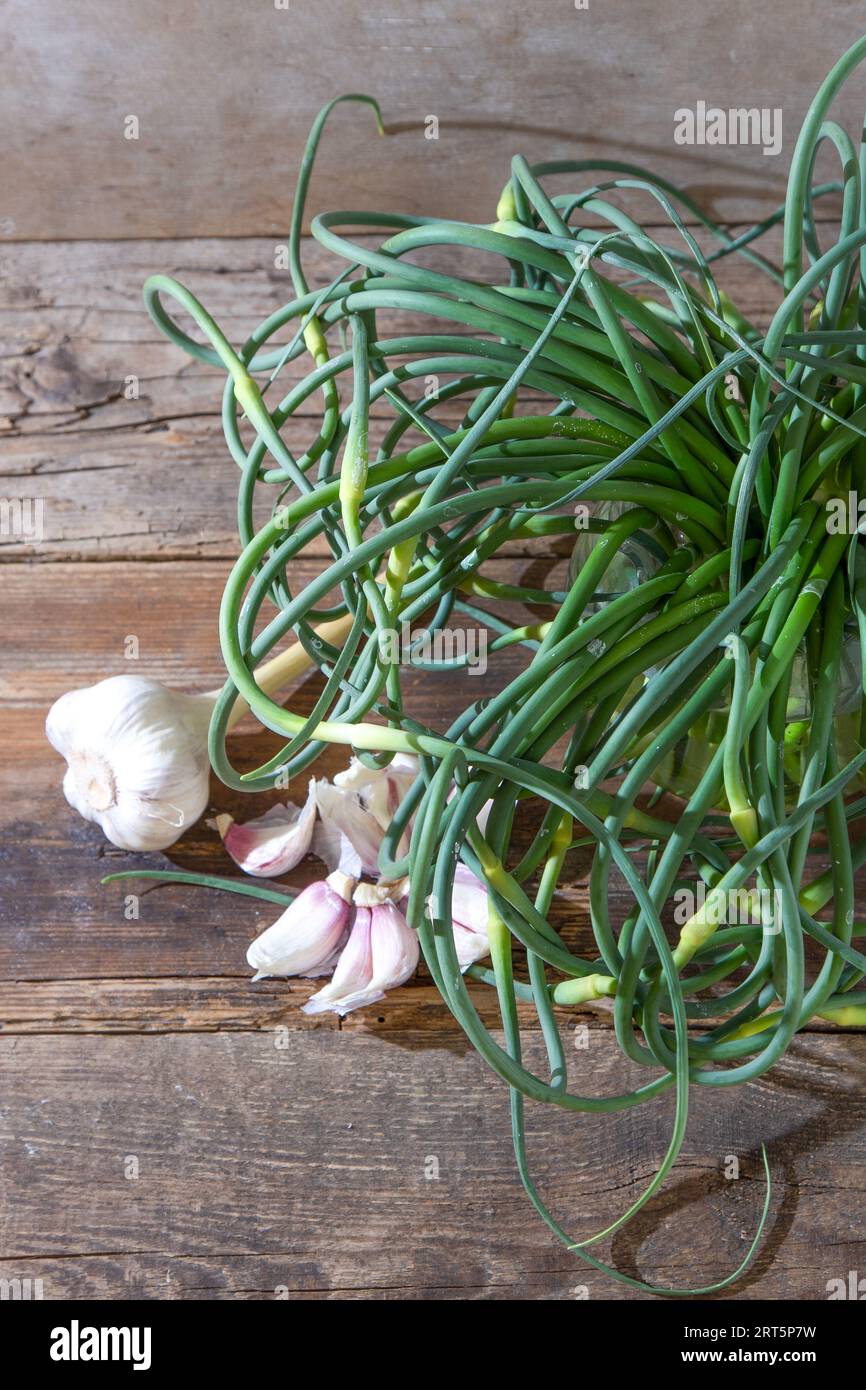Flèches à l'ail. Un bouquet de verts sur la table. Alimentation en vitamines saine végétale. Tiges vertes de tiges plantules pour la salade et le ragoût. Herbes fraîches végétariennes, cuisine chinoise. Banque D'Images