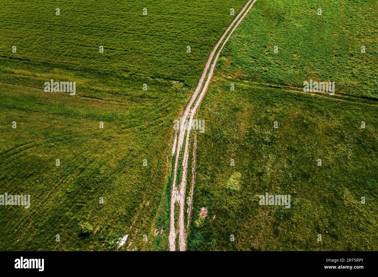 Photographie aérienne de la route de terre courbe à travers la prairie verte, drone pov vue à grand angle Banque D'Images