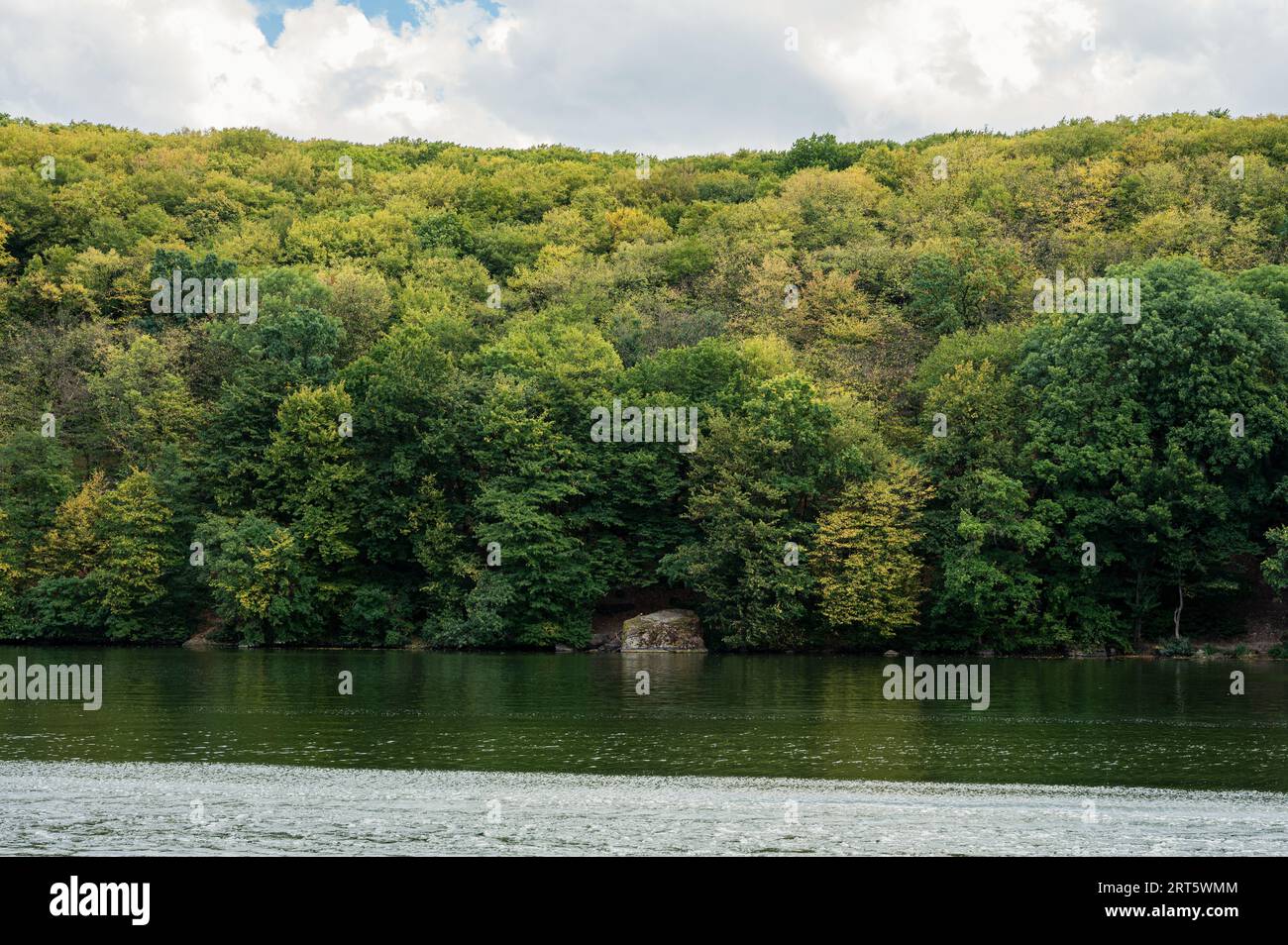 Rive pittoresque de la rivière qui est couverte d'arbres verts et jaunes luxuriants de fin d'été ou d'automne. Beau paysage pour papier peint. Ukraine, Vinnytsia Banque D'Images