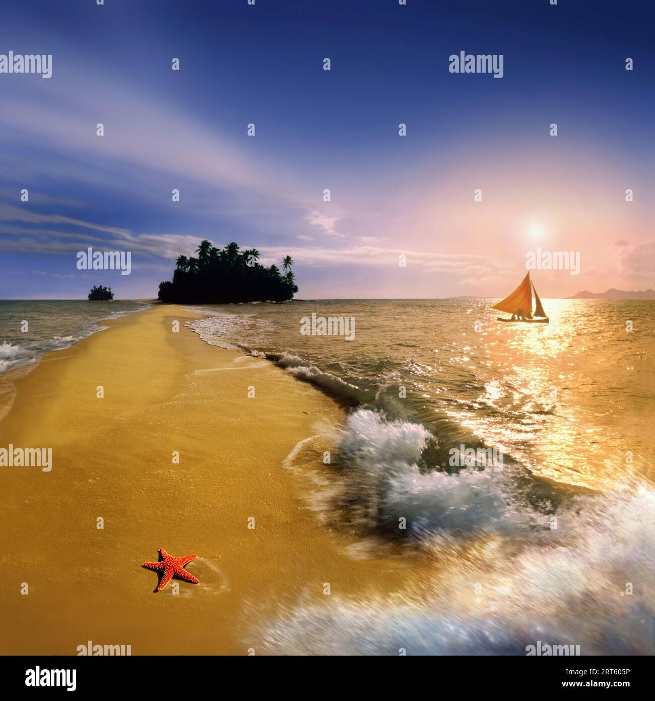 Starfish à la plage - Archipel de Palawan Banque D'Images