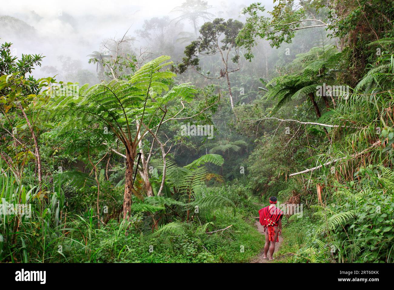 Tribus Ifugao dans une forêt tropicale humide. Banque D'Images