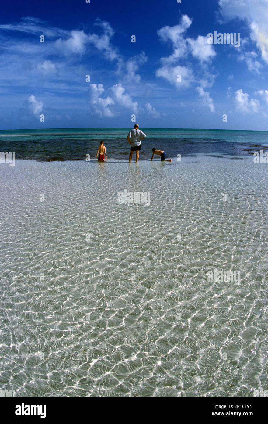 Un père et deux fils explorent les eaux claires et peu profondes du parc d'État de Bahia Honda, en Floride. Banque D'Images