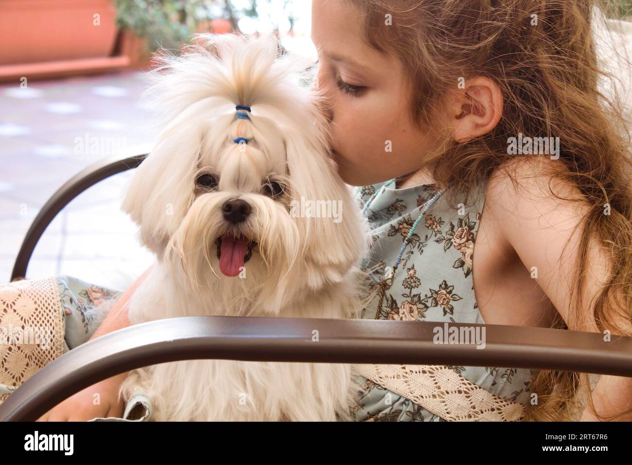 Une jeune fille blanche caucasienne embrassant affectueusement son mignon chien maltais Banque D'Images