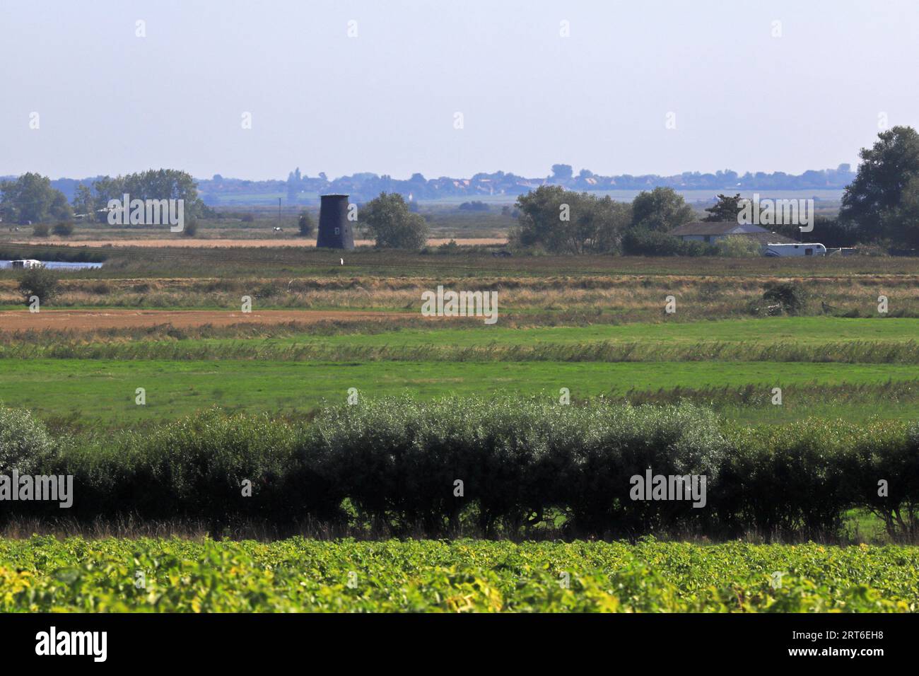 Une vue sur les marais de Bure vers le redondant six Mile House drainage Mill sur les Norfolk Broads à Runham, Norfolk, Angleterre, Royaume-Uni. Banque D'Images