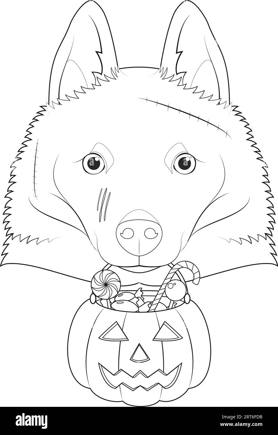Carte de voeux Halloween pour colorier. Chien Schipperke avec plusieurs cicatrices sur le visage et une citrouille avec des bonbons dans la bouche Illustration de Vecteur