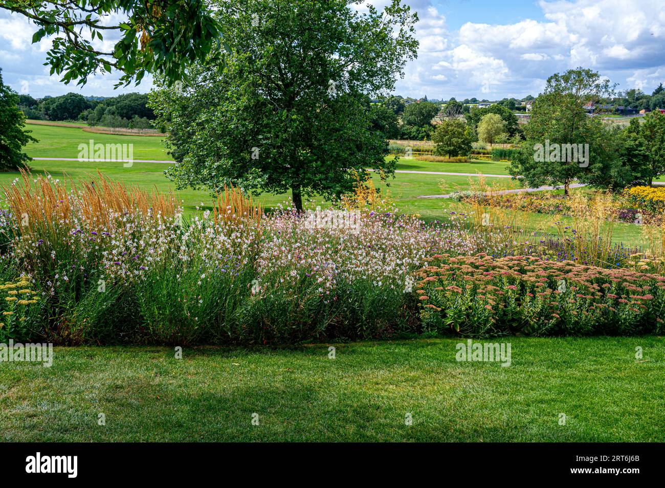 Bordure florale de fin d'été au RHS Hyde Hall. Banque D'Images