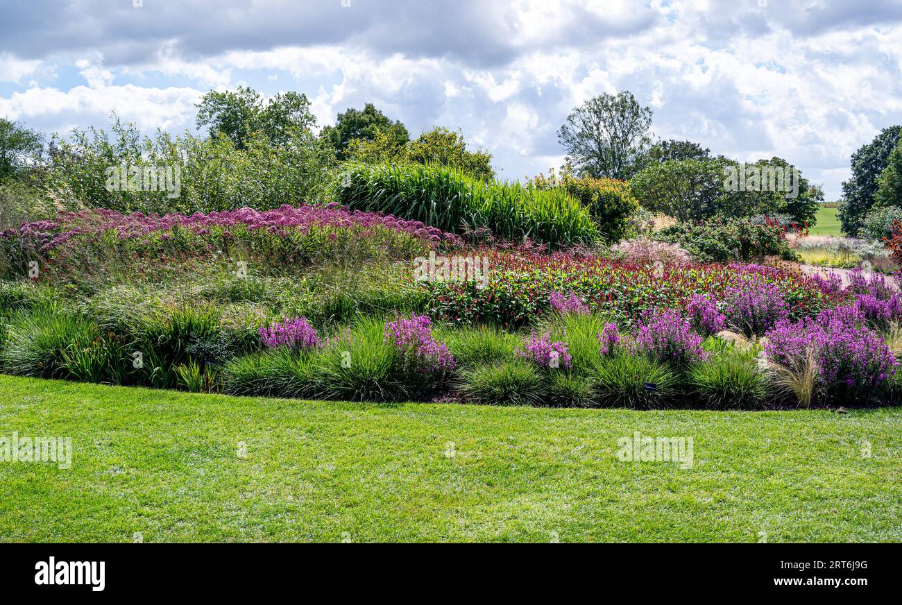 Bordure florale de fin d'été au RHS Hyde Hall. Banque D'Images