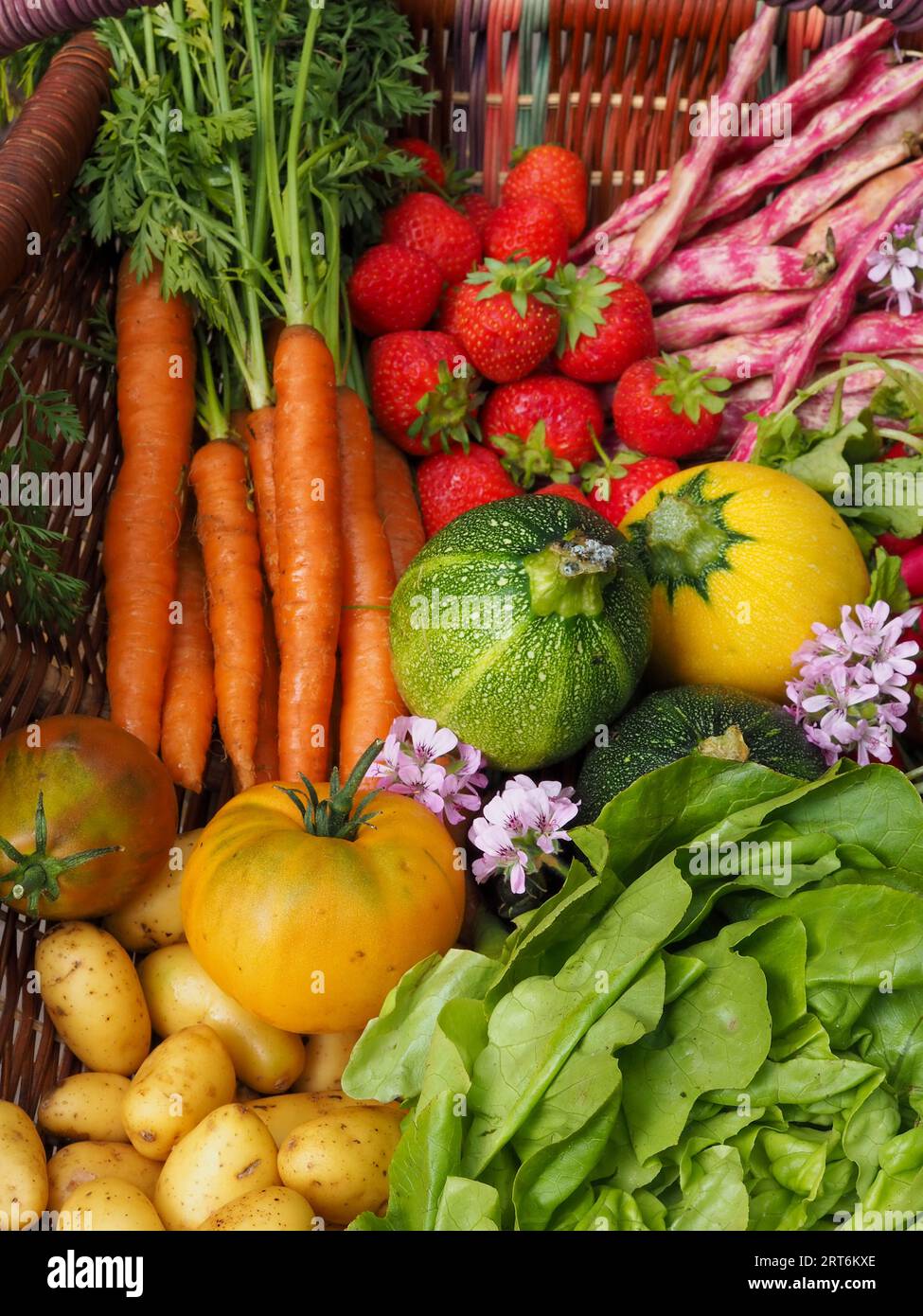 Gros plan de fruits et légumes frais et colorés d'un potager, y compris des carottes, des courgettes, des fraises et des légumes à salade Banque D'Images