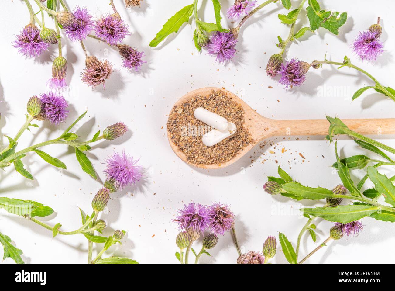 Fournitures de chardon de lait, poudre et huile. Silybum marianum, superaliment biologique naturel de fleurs sauvages - graines entières et de grains, pilules, huile avec frais Banque D'Images