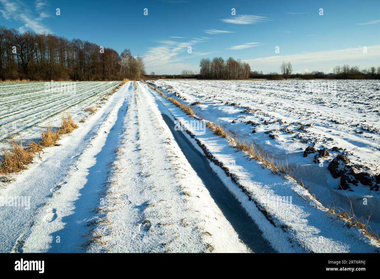 Chemin de terre couvert de neige à travers les champs, vue rurale ensoleillée d'hiver Banque D'Images
