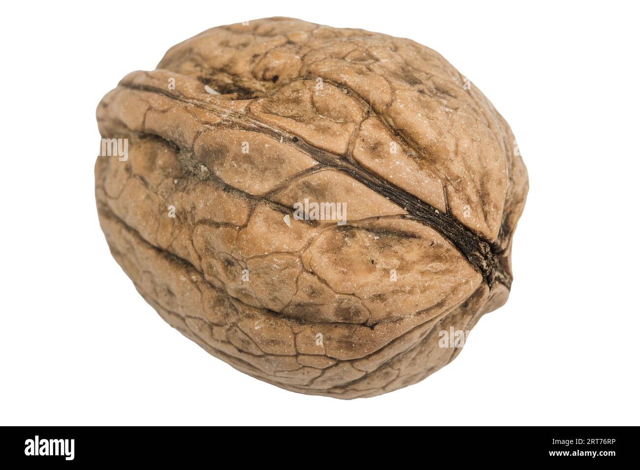 Une noix sur un fond transparent Banque D'Images