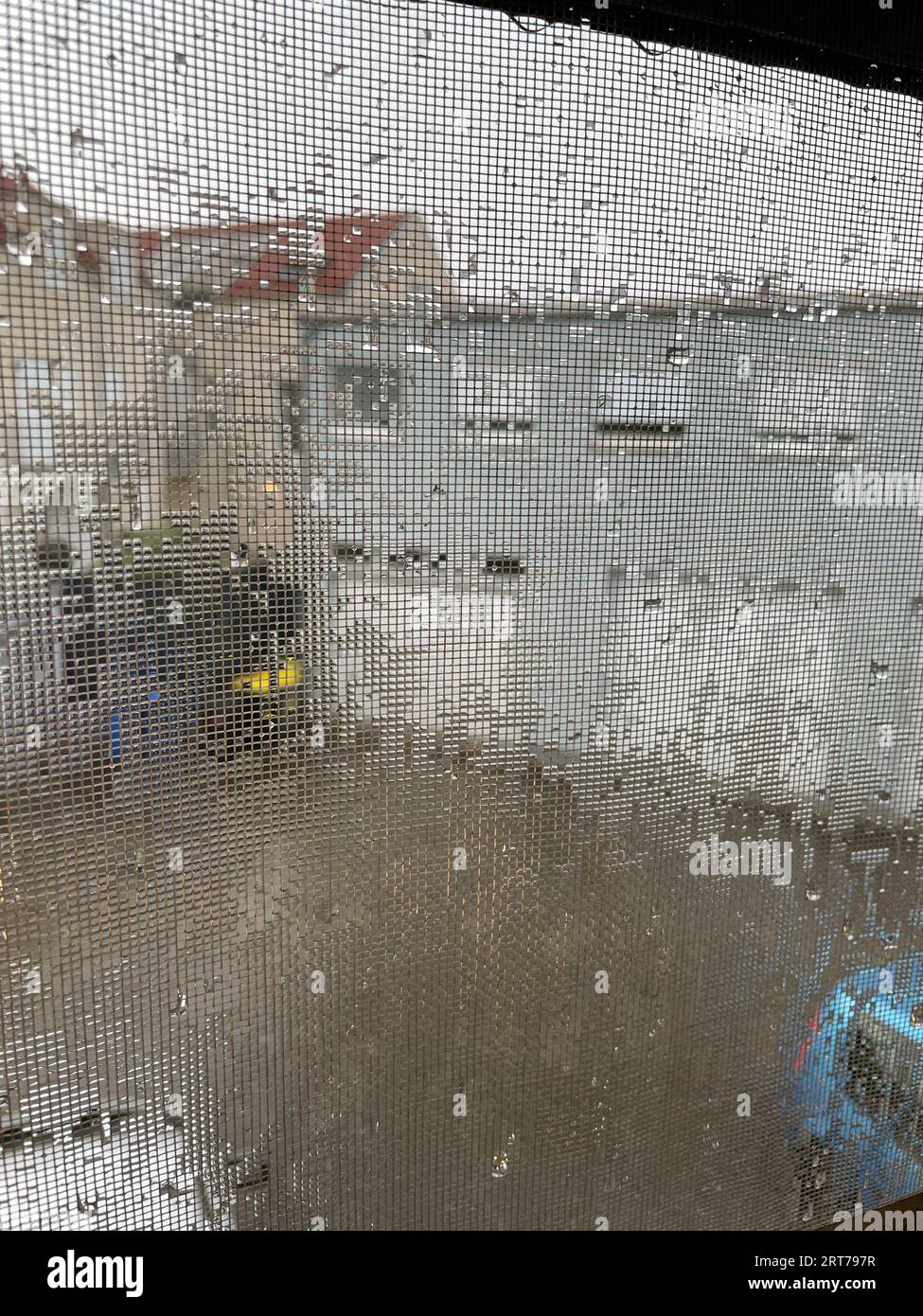 Regentropfen am Fliegengitter versperren die Sicht nach draußen Banque D'Images
