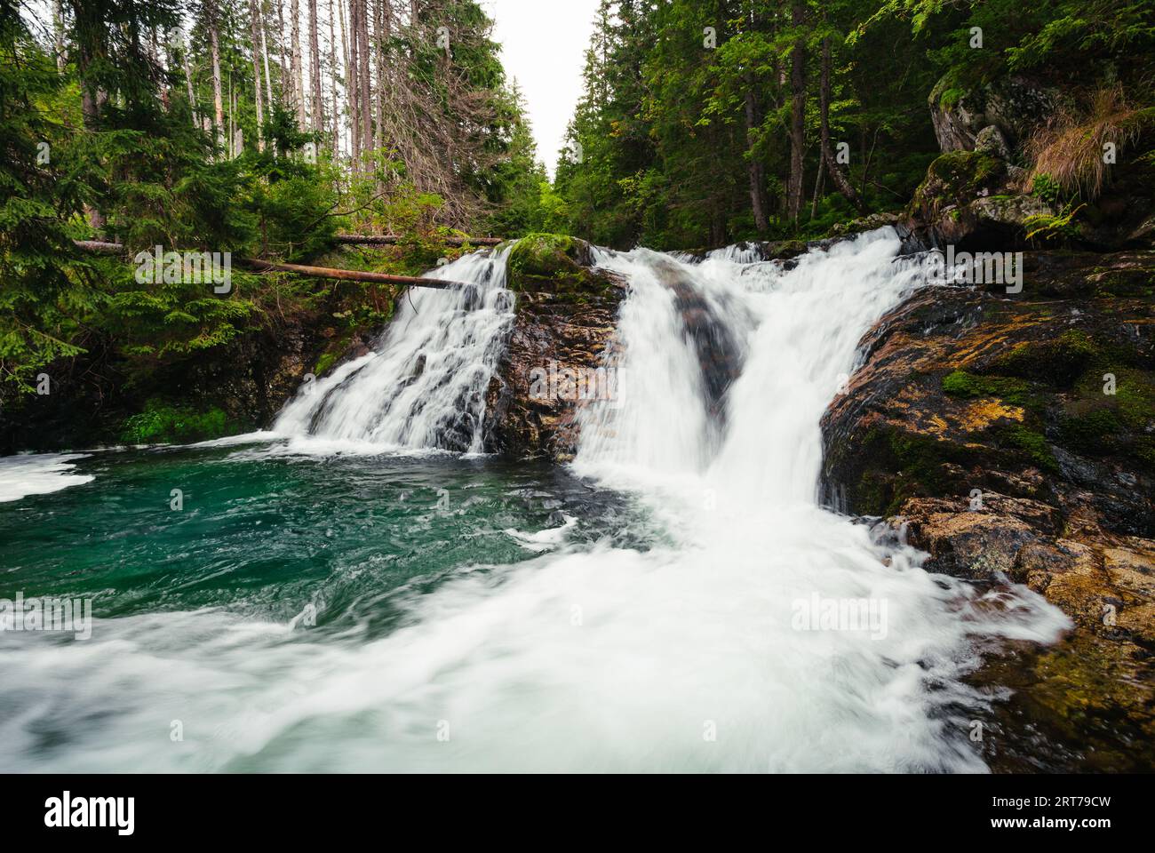 Fort ruisseau de cascade de montagne dans la forêt verte - tir grand angle. Belle et puissante cascade avec de l'eau turquoise - pierres et rochers sur foregr Banque D'Images