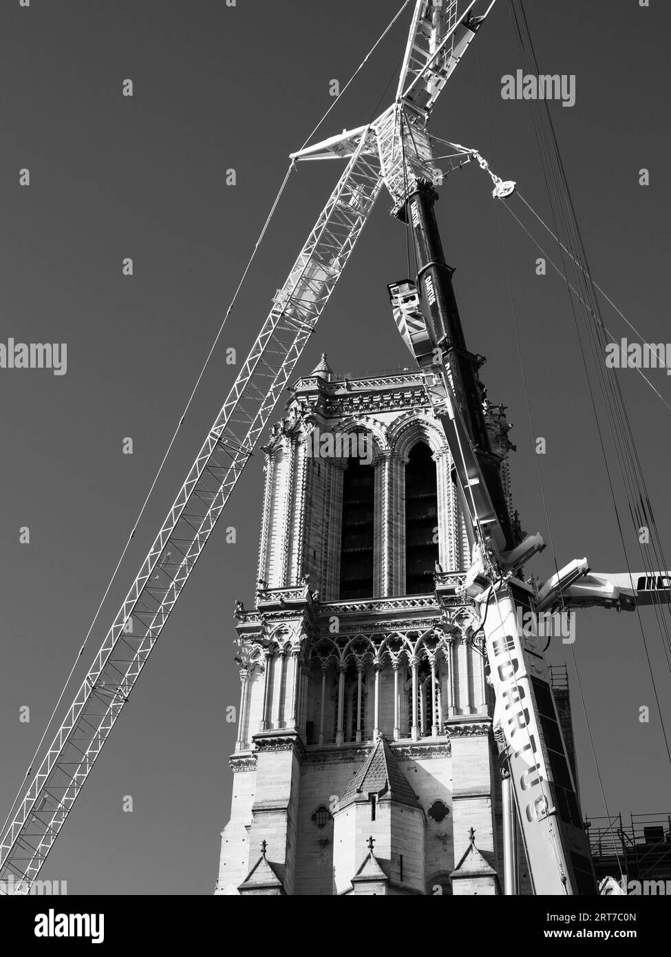 Noir et blanc, notre-Dame, gothique, reconstruction, Seine, Paris, France, Europe, UE. Banque D'Images