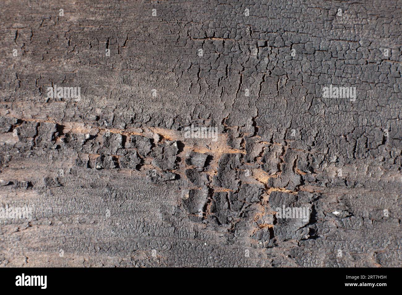 Planche avec texture brûlée, fond de bois abstrait Banque D'Images