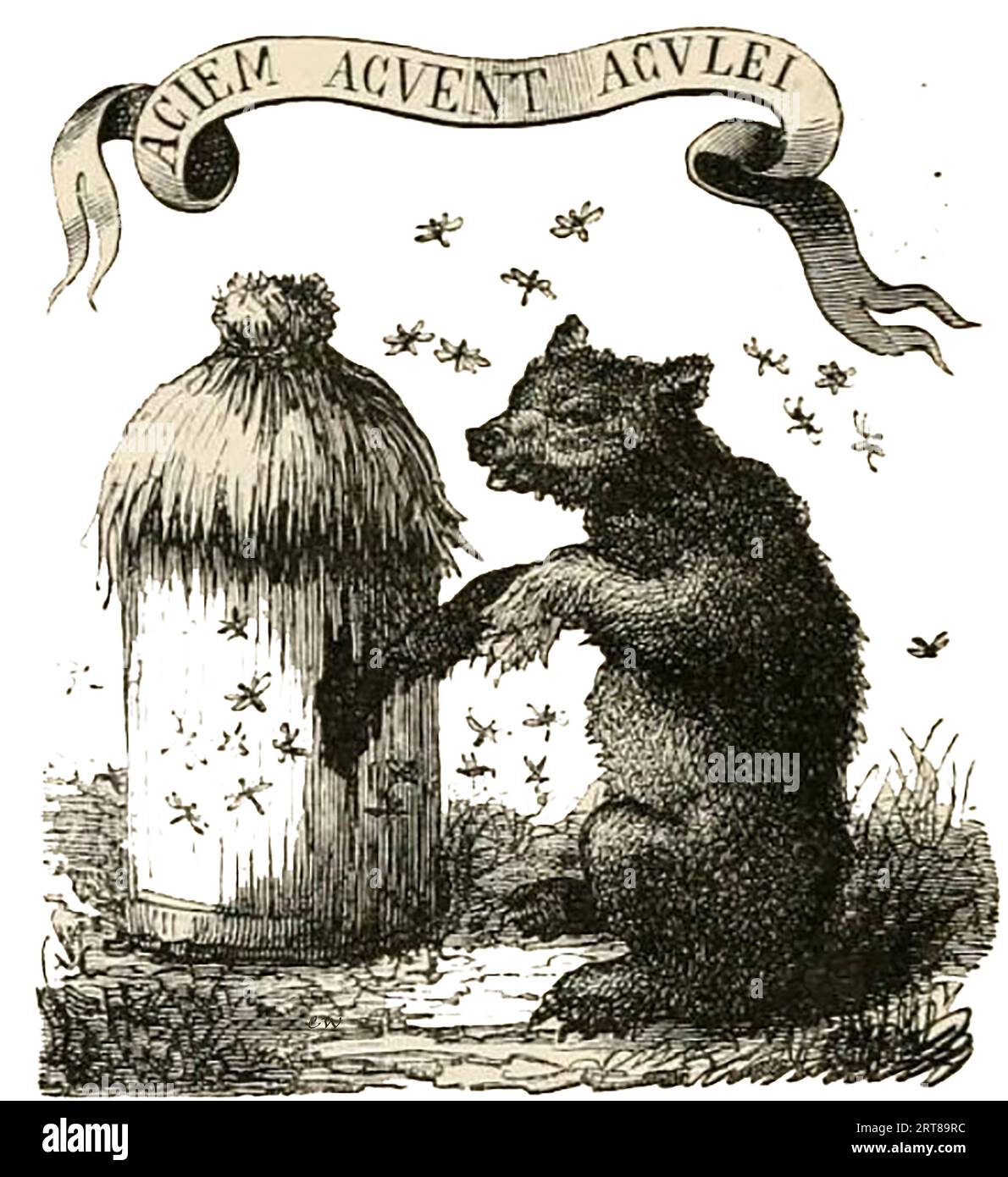 Un dispositif Bear and Honey utilisé par l'Académie Offuscati. L'Accademia degli Offuscati est une association culturelle à but non lucratif située en Sicile - Uno dei primi congegni dell'Orso e del Miele utilizzato dall'Accademia Offuscati. L'Accademia degli Offuscati è un'associazione culturale senza fini di lucro con sede in Sicilia Banque D'Images