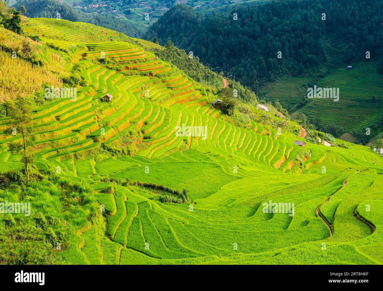 Paysage étonnant avec rizières en terrasses dans les montagnes de Mu Cang Chai, province de yen Bai, nord du Vietnam Banque D'Images