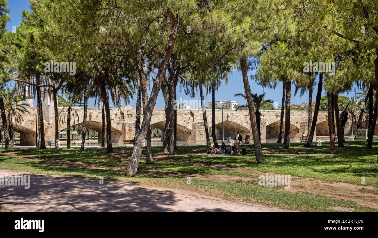 Vue panoramique du pont de Puente Del Mar à travers les bosquets des jardins de la Turia - ancien lit de la rivière - à Valence, Espagne le 25 août 2023 Banque D'Images