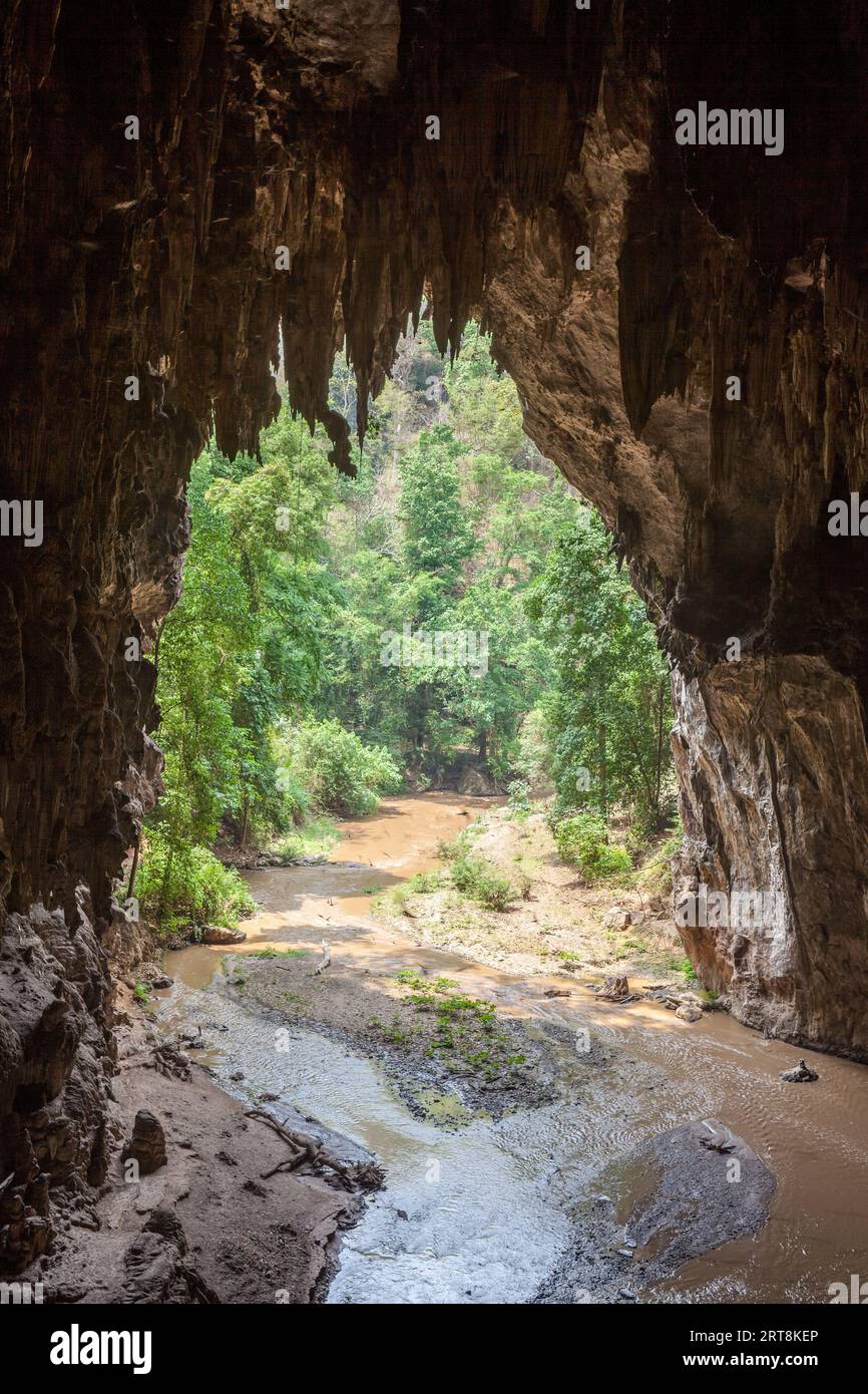 Belle grotte Tham Lot dans le nord de la Thaïlande. Vue sur la forêt tropicale verte depuis la grotte. Banque D'Images