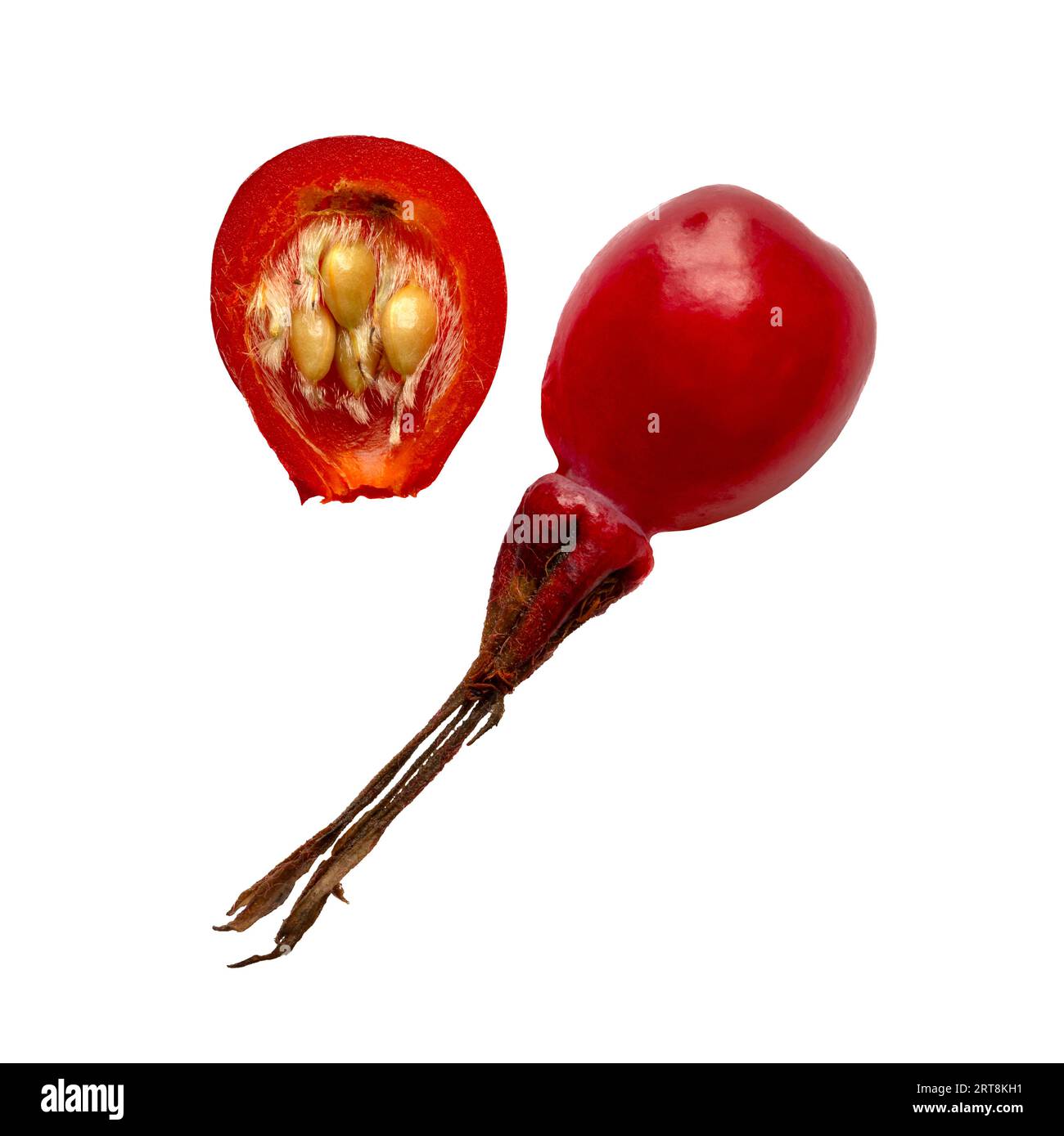 Coupe transversale montrant des graines à l'intérieur d'une rose musquée ou rose musquée, également appelée rose musquée et rose hep, fruit accessoire des diverses espèces de plantes roses Banque D'Images