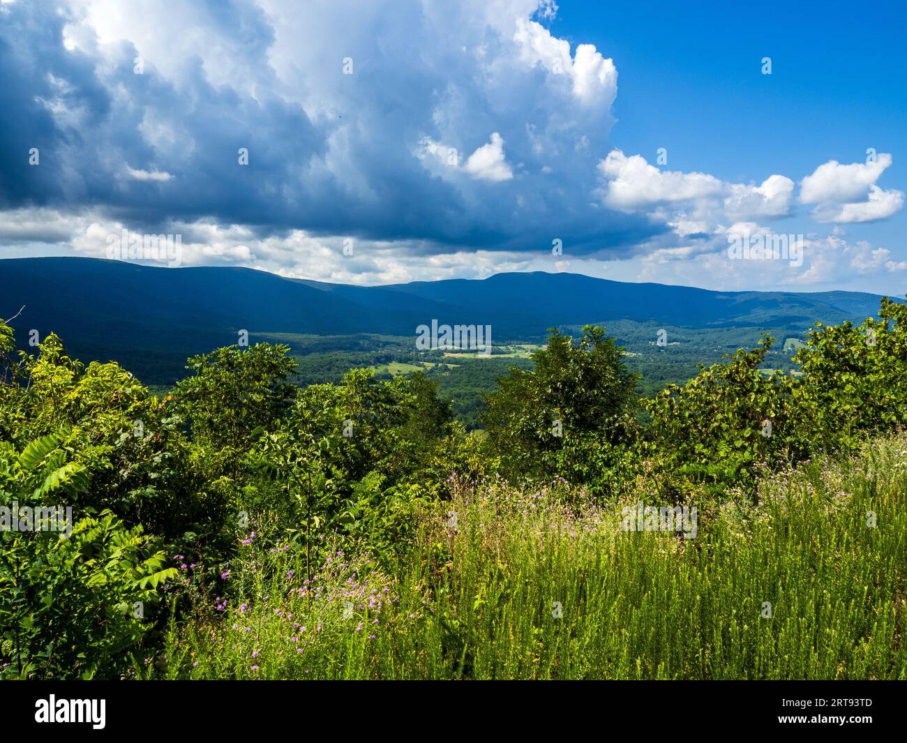 Vue sur la vallée de Shenandoah depuis le parc national de Shenandoah, Virginie, États-Unis, avec des nuages dramatiques en approche. Banque D'Images
