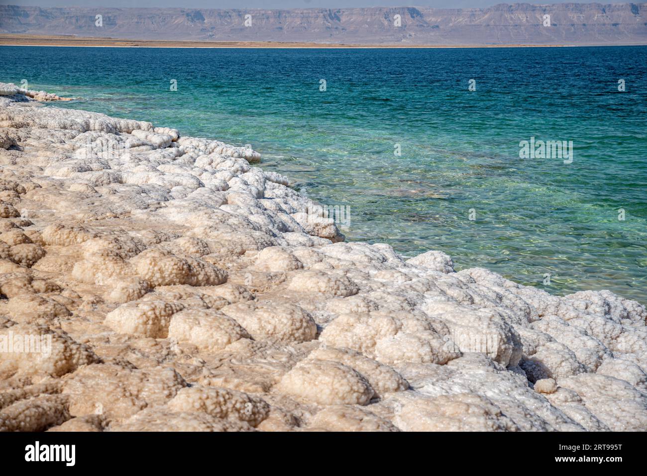 Rives salées de la mer Morte, Jordanie Banque D'Images