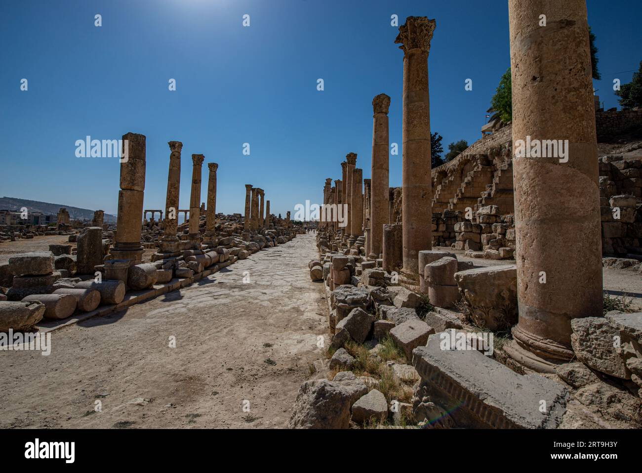 Cardo Maximus (rue colonnade), site archéologique de Jerash, Jordanie Banque D'Images