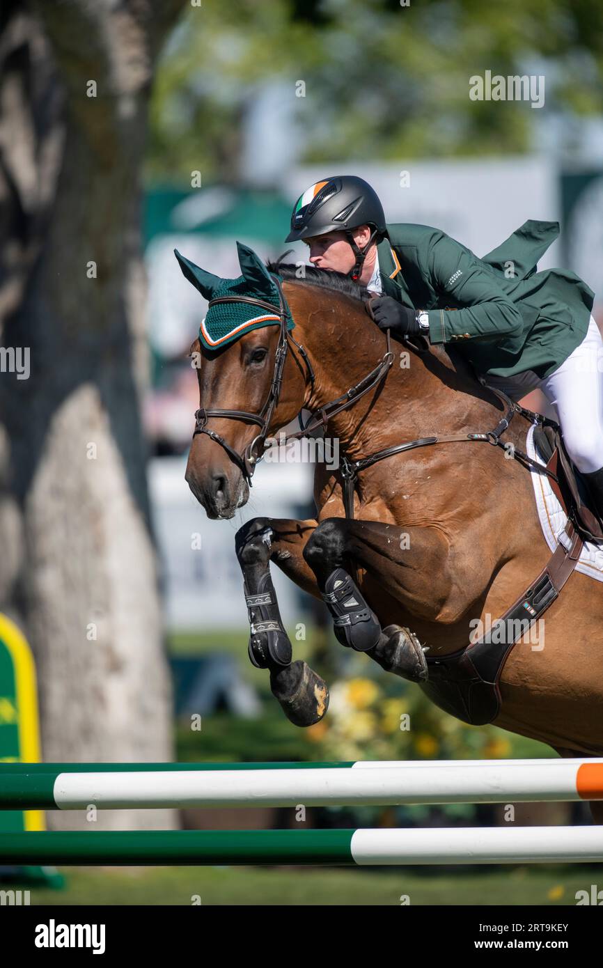 Calgary, Alberta, Canada, 9 septembre 2023. Daniel Coyle (IRE) sur Legacy, The Masters, Spruce Meadows - coupe des nations BMO, 1e ronde Banque D'Images