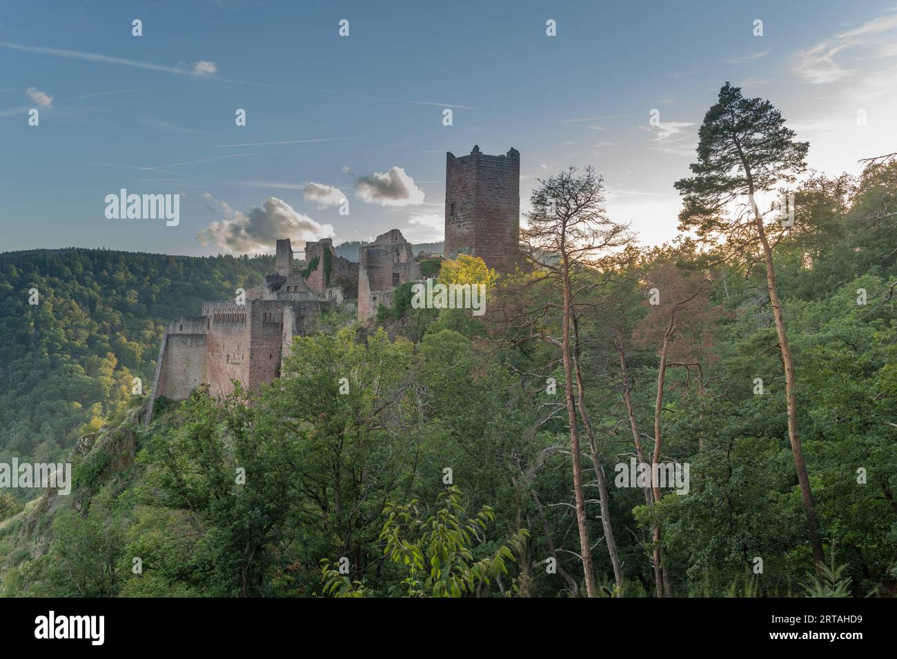 St. Ulrich Castle sur une montagne escarpée. Ribeauville, Bas-Rhin, collectivite européenne d'Alsace,Grand est, France. Banque D'Images