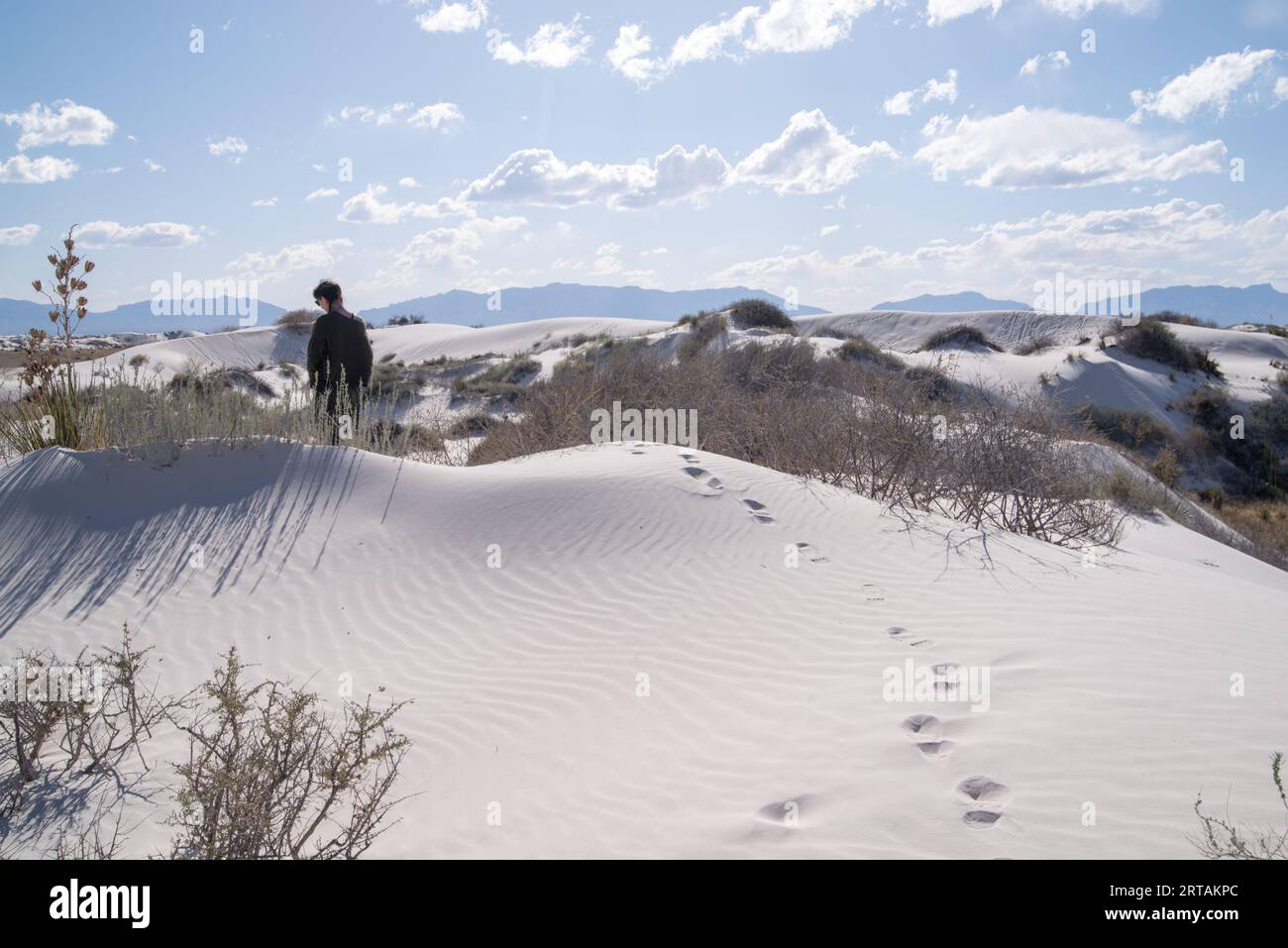 Femme marchant sur les dunes de gypse dans le parc national de White Sands. Banque D'Images