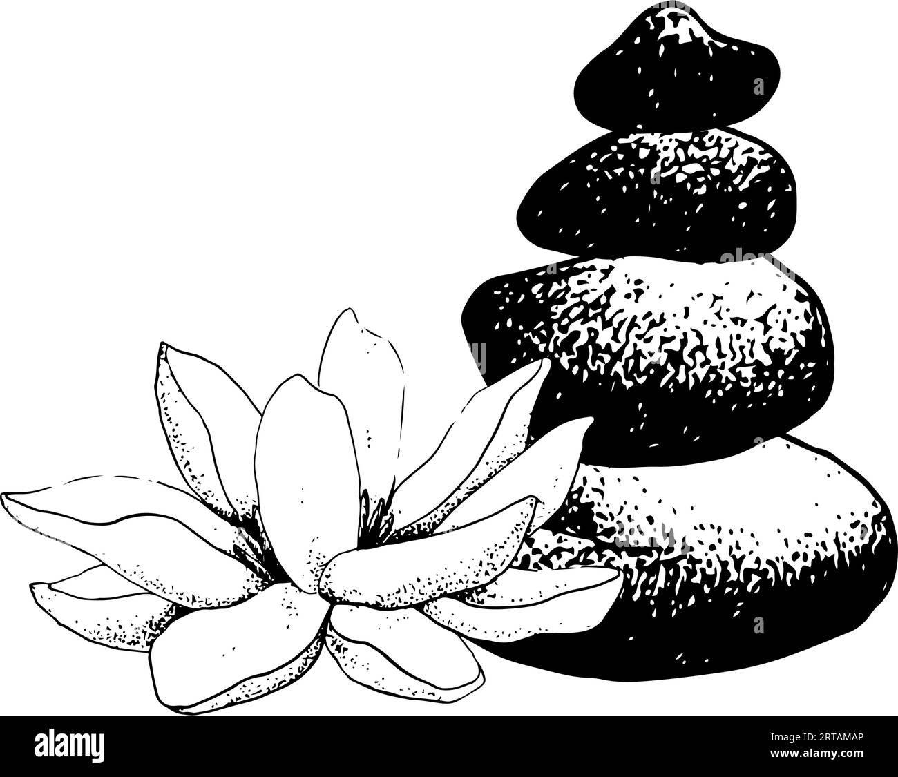 Vecteur fleur de lotus et pierres équilibrées pyramide illustration graphique réaliste de croquis pour les centres de yoga, les cosmétiques naturels et les soins de santé Illustration de Vecteur
