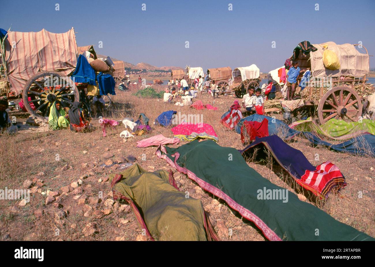 Inde : Sarees séchant dans un camp de pèlerins, fête de Poornima tenue près du temple Yellamma, Saundatti, Karnataka (1994). Chaque année dans le mois hindou de Magh (janvier - février) plus d'un demi-million de personnes se rassemblent autour du minuscule temple de la déesse Yellamma à Saundatti. Yellamma est la patronne des devadasi ou des femmes dédiées au service d'une divinité ou d'un temple. Banque D'Images